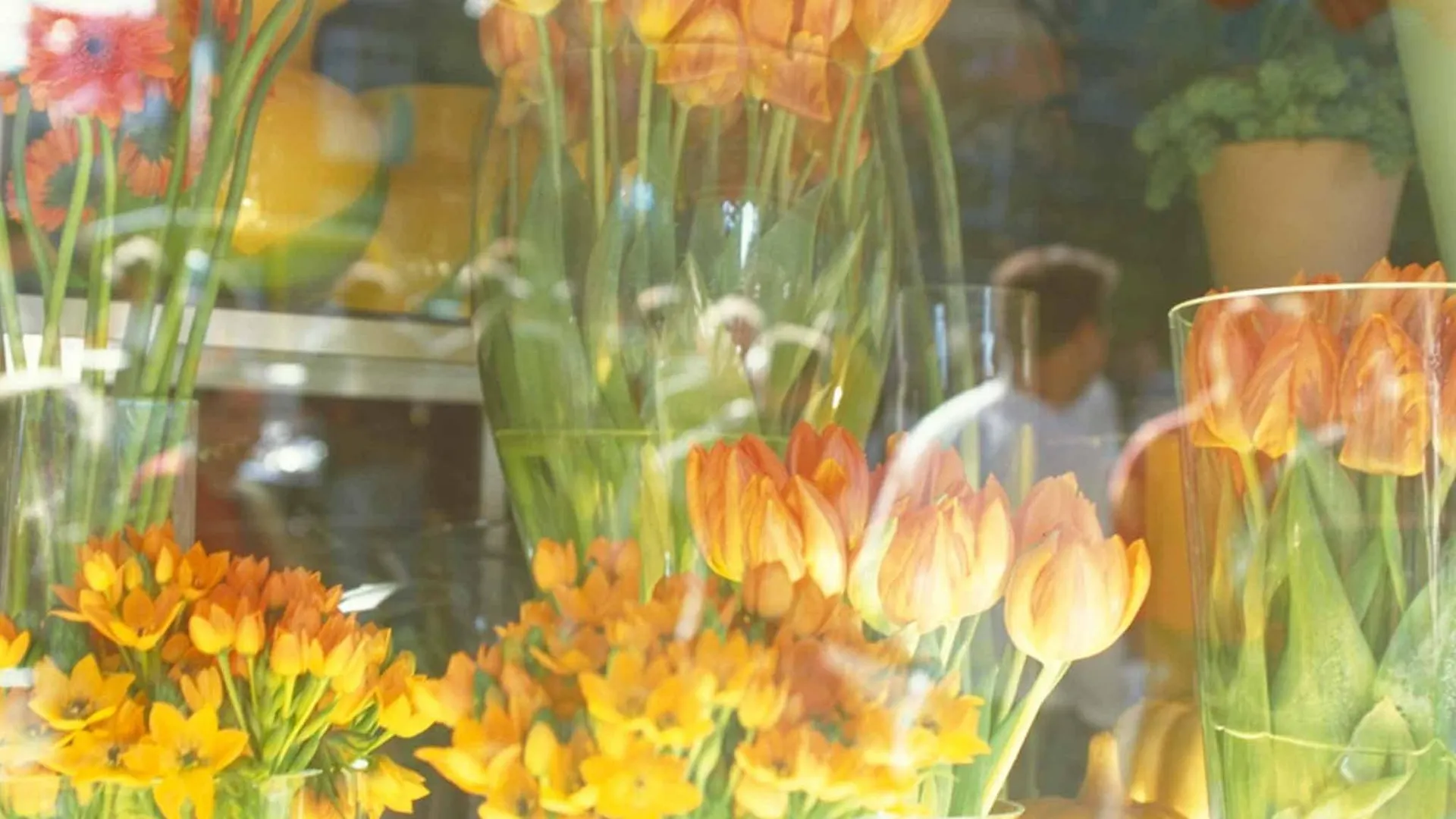 Mercure Hotel Amsterdam West 4*,  Netherlands